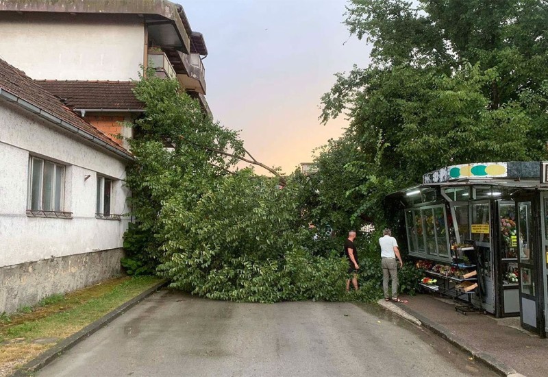 Posljedice nevremena u Srpskoj: Porušeno drveće, oštećeni krovovi i automobili (FOTO)