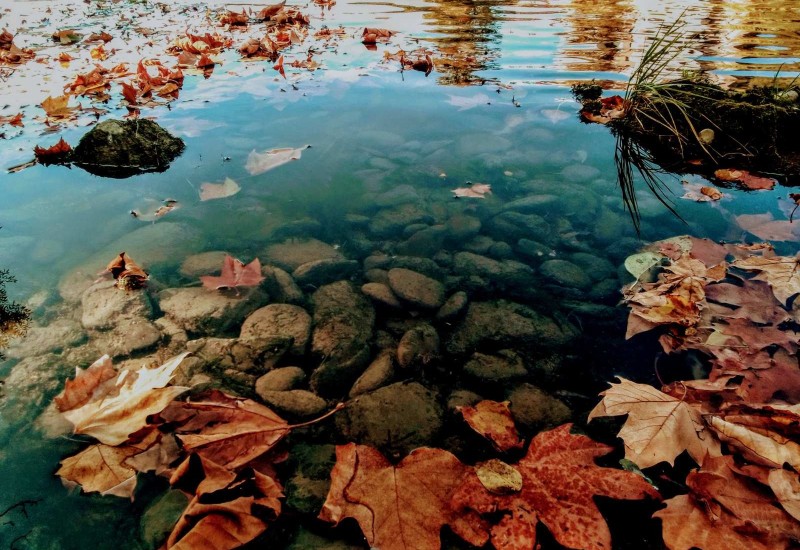 Jesen počinje 23. septembra