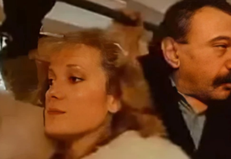 Porno glumica u Žikinoj dinastiji