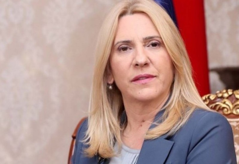 Cvijanović opoziciji: Neka kažu koji su opozicionari “kupljeni”