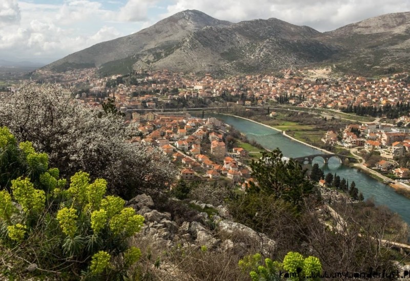 Čelnik PDP-a prijavio poznatog vinara da ga je gurnuo i povukao za nos