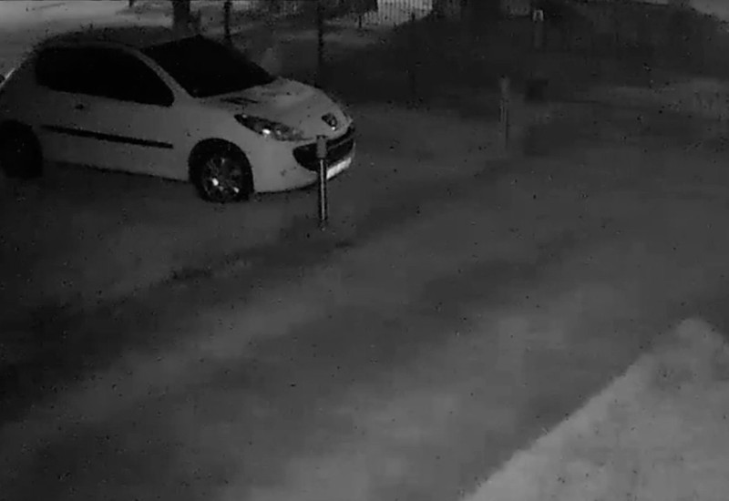 Medvjed na kapiji porodične kuće kod Bihaća, građani u strahu (VIDEO)