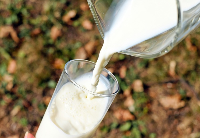 Pale prve kazne, Inspektori obaraju cijene mlijeka u Srpskoj