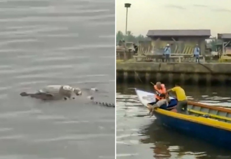 UZNEMIRUJUĆE Krokodil vratio tijelo utopljenog djeteta spasilačkom timu