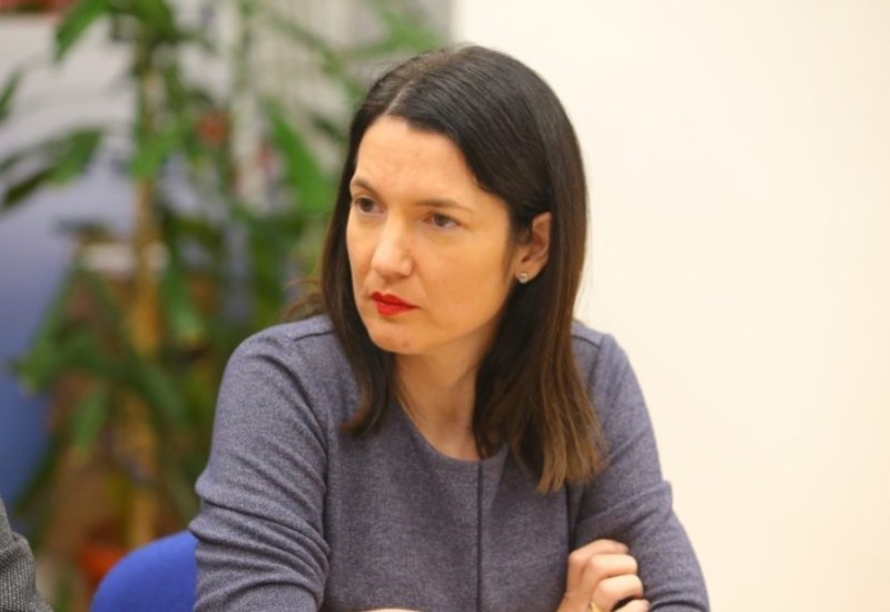 "Vlastima Srpske ovakve krize odgovaraju" Trivić o posljednjim potezima Ustavnog suda BiH
