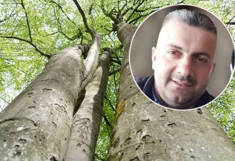 Detalji pogibije šumara: Bukva usmrtila oca dvoje djece