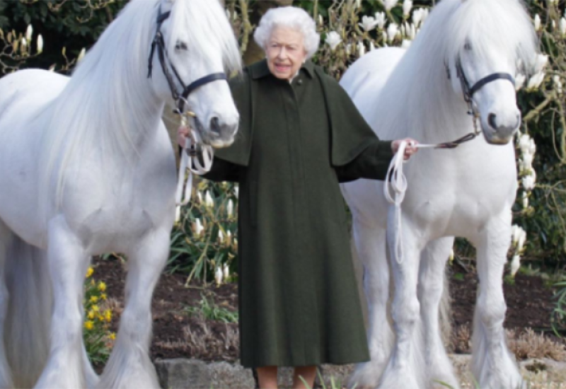 Kralj Čarls prodaje 14 konja kraljice Elizabete