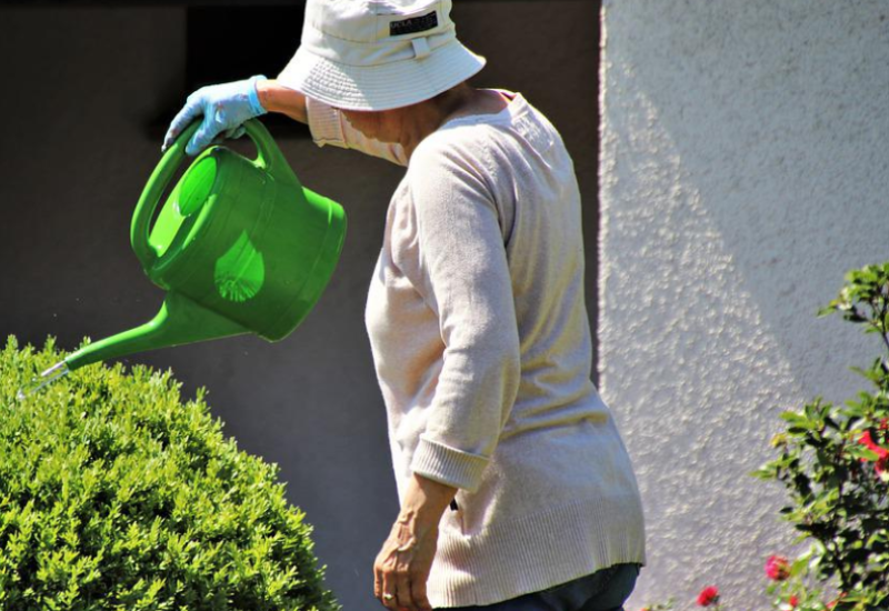 REPUBLIKA SRPSKA: Na posao idu 5.443 penzionera