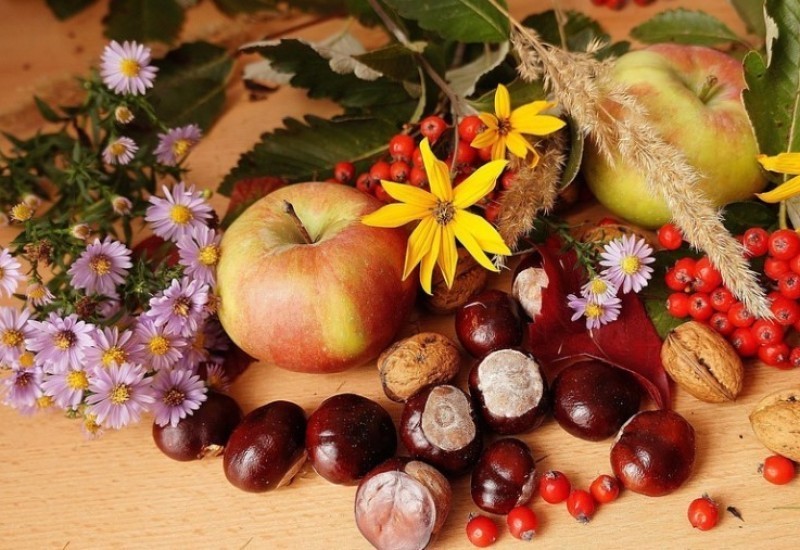 Evo koje su dobrobiti kestena za naše zdravlje