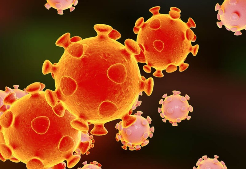 U Hrvatskoj zabilježena 804 nova slučaja zaraze korona virusom