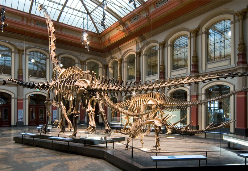 U znaku protesta aktivistkinje zalijepile šake za držače eksponata