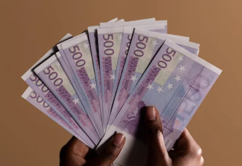 Najveća plata u javnom sektoru skoro 18.000 evra