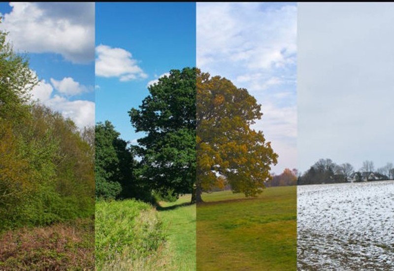 Godišnje doba u kojem ste rođeni otkriva detalje o vašoj ličnosti