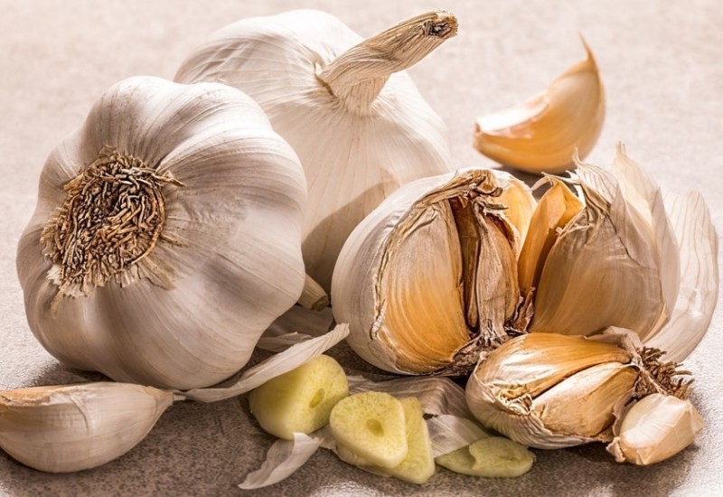 Bijeli luk i med najbolji lijekovi